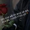 habiba.sherefa1