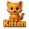 Mr Kitten 🐾