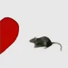 ellalala_ilovemyself1