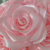 mery.rose685