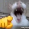 legoatghali7