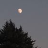 zahraa_aletaby