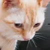 ltranger84