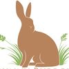 The Bunny Burrow
