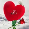 user4536278792961
