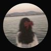 prnika.basnet