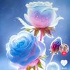 koko.chit..sont
