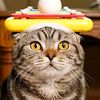 MISTERY MEOW