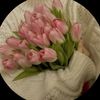 aldj.hdhd6
