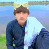 shaziab.king302