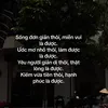Tr Quoc Dung