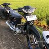dafinokaramoyo997