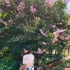 ying_paksong