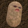 akilaqila0
