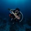 diving.with.victor