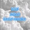 insaasgroup