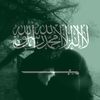 am_ir232