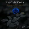 ...algore.ahmed.l
