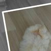 mihaela.vlogs.f