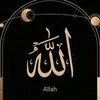 zain.malik51910tiktok.co