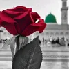 sayd.qsam.511