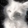 anhhoang.trumcute
