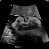 ryleigh0288