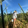 J u d y y 🌱