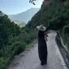 maram.bouanani