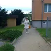 krystyna.dziabas