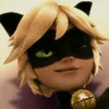chat.noir692