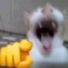 danglinhtinh_1