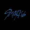 skzstay_karma