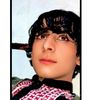 zmtallhdgmail.com
