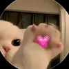 h.vn.nay12