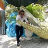 kin.anh85
