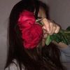 user7337319031686