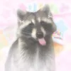 cutecoresky_