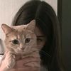 meow_thetic