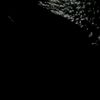 user361217