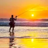 hung.fishing99