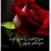 user5587731581667