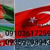 user7655428861328