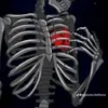 mohamad_7179