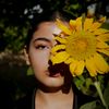 aynaz.garosi