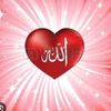 sevgim.allaha586