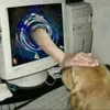 Đồ Ăn Audio