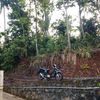 arif.alfin.widian