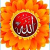 abrar.sultan50