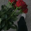 nafiseh_88_